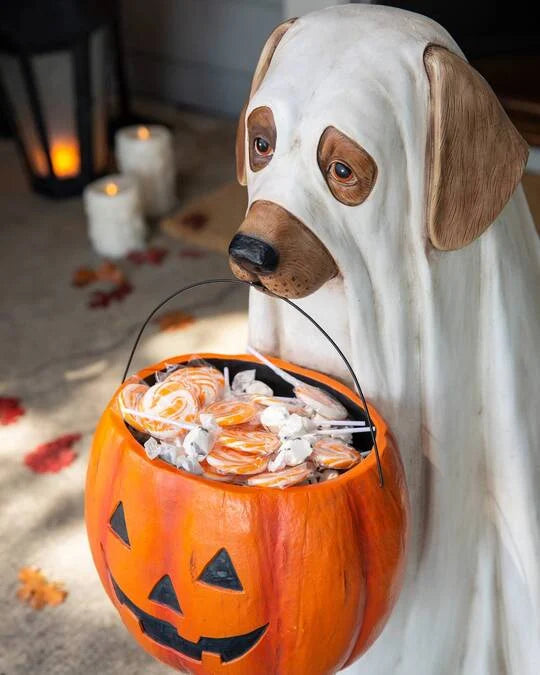 (🎃Halloween Hot Sale 49% OFF🎃) GHOST DOG/CAT CANDY BOWL