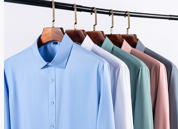 🔥2025 HOT SALE🔥Men's Wrinkle-Free Button-Down Shirt