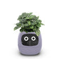 Fun Smart Flowerpot with Multiple Expressions, Plant-Free