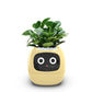 Fun Smart Flowerpot with Multiple Expressions, Plant-Free