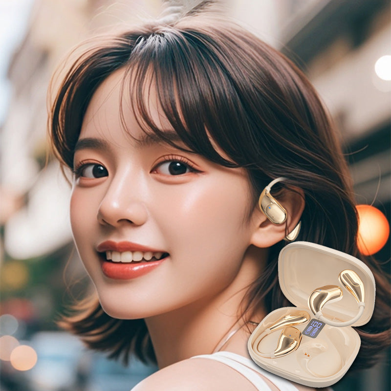 🔥50%OFF hot  Sale🔥HiFi Waterproof Ear-Hook Bluetooth Headphones 🔥Buy 2 - Free Shipping