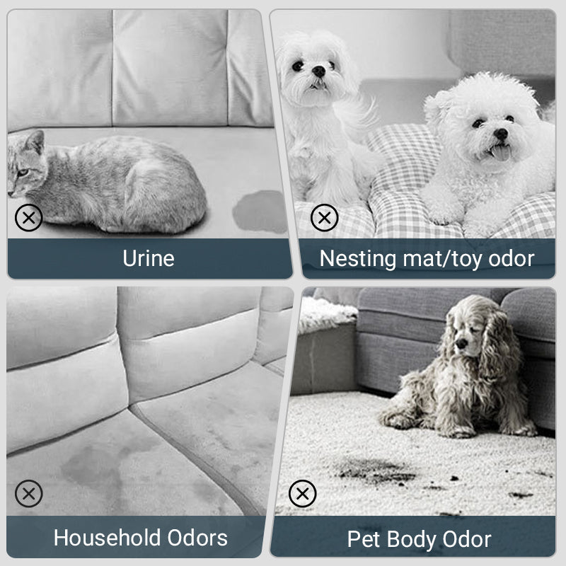 🔥Hot Sale🔥Pet Odor Eliminator Spray (50% OFF)