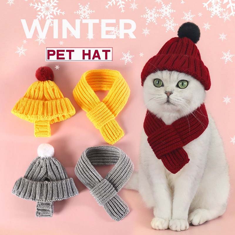 Knitted Pet Hat and Scarf Set