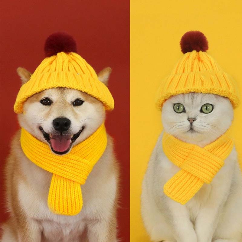 Knitted Pet Hat and Scarf Set