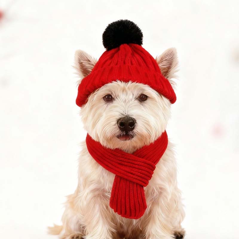 Knitted Pet Hat and Scarf Set