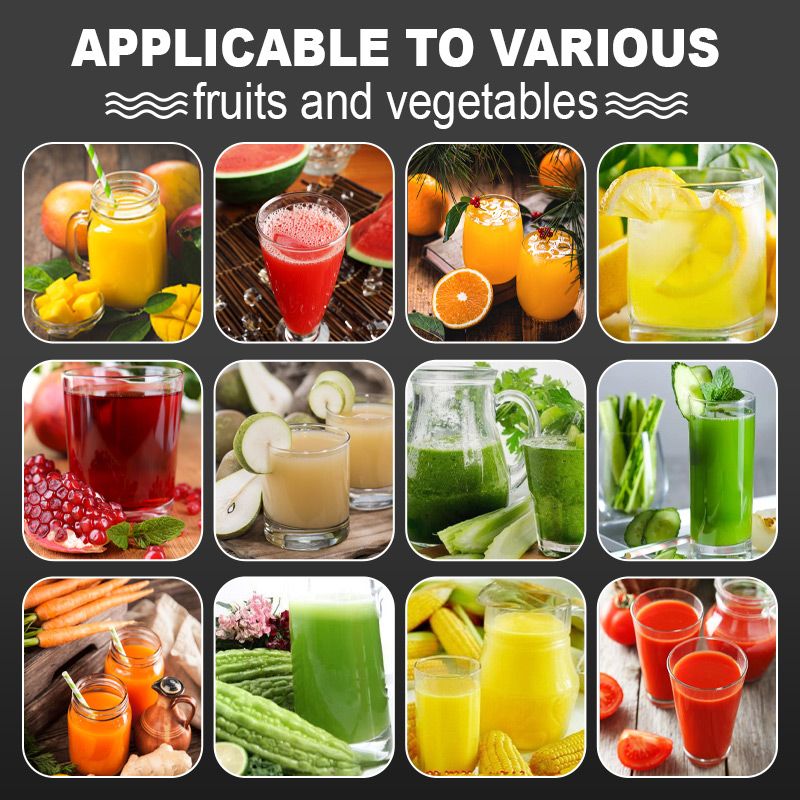 AEX Multifunctional Stainless Steel Potato, Juice & Food Press