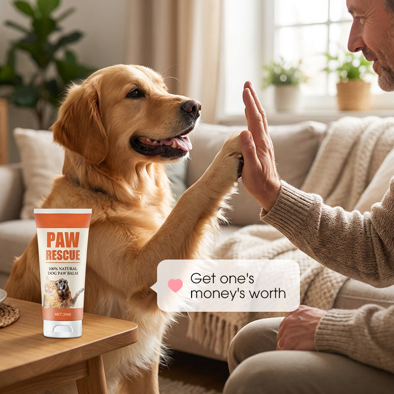 Soothing Paw Balm for Cracked Dog & Cat Paws