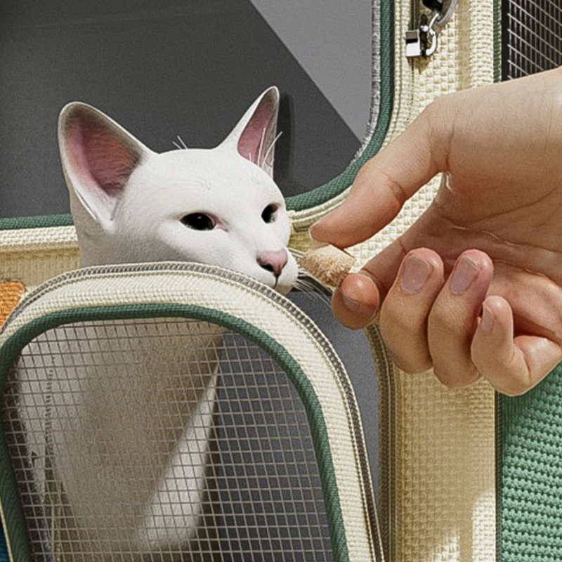 Large Capacity Wheeled Pet Carrier