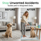Pet Potty Training Spray