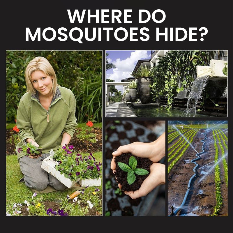 ⏰LIMITED QUANTITY ONLY💥🚫🦟Solar Mosquito Zapper Lamp Stake